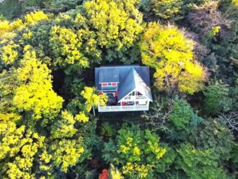 絶景大型ログハウス最大20人ハートウッド熱海邸 Atami  Zewnętrze zdjęcie